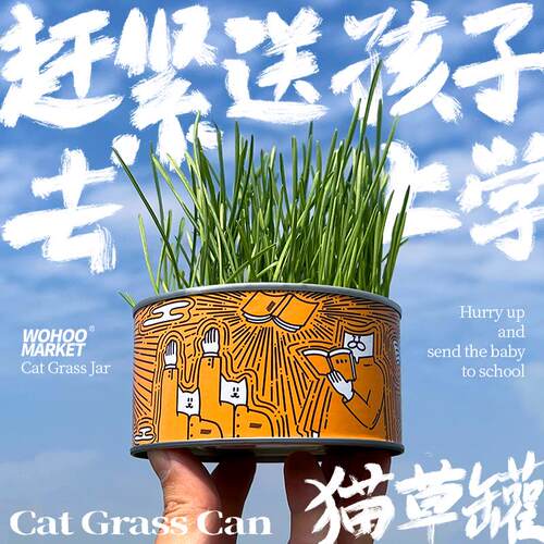 轻松种出新鲜猫草猫咪更爱吃