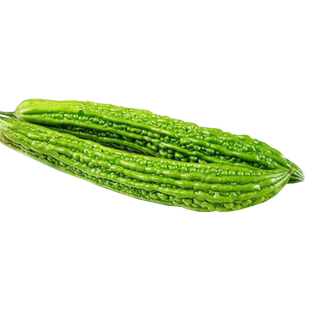 大肉苦瓜种籽高产春季四季长绿苦瓜籽种家庭阳台盆栽瓜果蔬菜种子