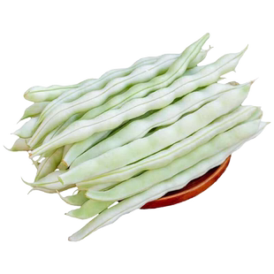 九粒白种子大全芸豆种籽白不老来少豆角四季菜豆蔬菜种孑芸豆种子