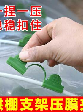 拱棚专用压膜夹子塑料大棚薄膜支架固定防风夹子保温棚暖房卡扣
