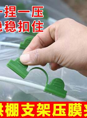 拱棚专用压膜夹子塑料大棚薄膜支架固定防风夹子保温棚暖房卡扣