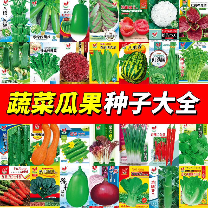 四季蔬菜种子大全香菜小葱黄瓜番茄辣椒豇豆角生菜籽西瓜甜瓜种籽