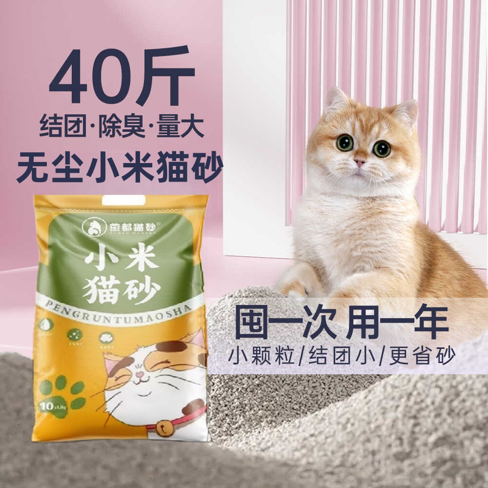 特细小颗粒小米猫砂膨润土结团抗菌除臭无尘细沙20公斤批发价猫沙