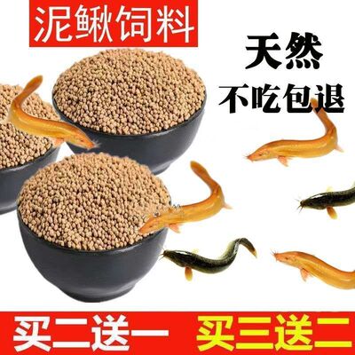泥鳅饲料观赏黄金泥鳅鱼食