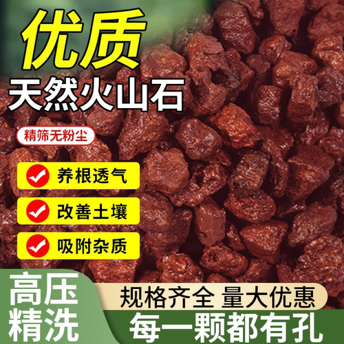 天然火山石颗粒兰花多肉鱼缸造景盆栽专用火山岩滤材铺面水族垫底