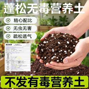 营养土养花通用专用花土营养土通用型家用多肉营养土陶粒羊粪包邮