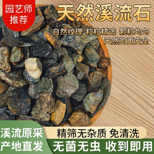 溪流石大块免洗鱼缸造景溪流石龟缸水族箱原生态装饰不浑水铺底石