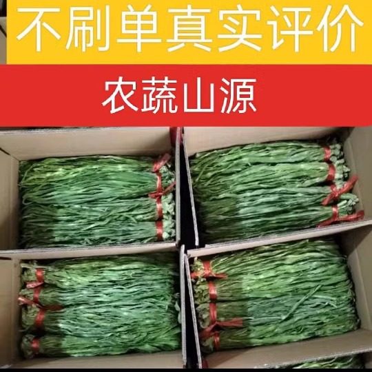 带箱五斤干贡菜干苔菜干苔干货脱水蔬菜新货天然日晒产地直销