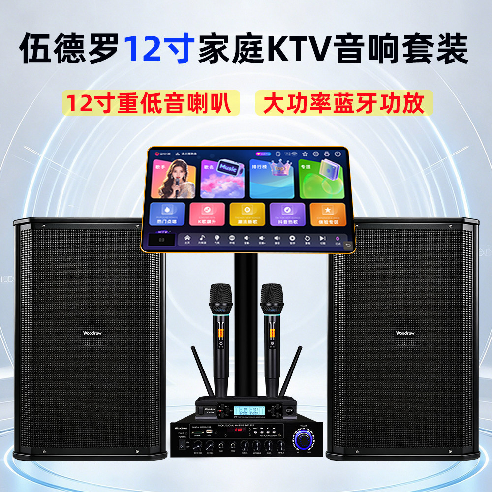 伍德罗12寸家庭ktv音响全套设备