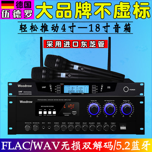 德国伍德罗大功率家用功放机