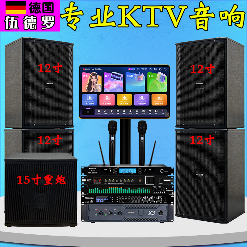 德国伍德罗专业KTV音响套装12寸卡拉OK音箱前后级功放15寸低音炮