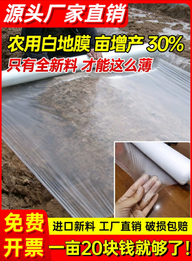 白色地膜保温加厚白地膜大棚黑色塑料薄膜种菜农用种植工程塑料纸