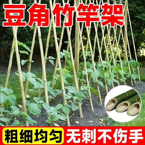 豆角黄瓜青椒茄子竹竿爬藤架批发