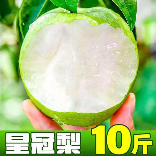 脆甜多汁安徽砀山青梨入口化渣