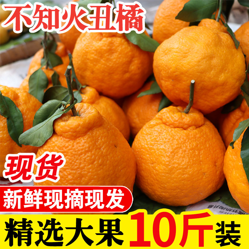 不知火丑橘新鲜水果当季整箱10斤丑八怪橘子粑粑蜜桔子柑橘丑桔