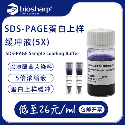 蛋白上样缓冲液BL502ASDS-PAGE