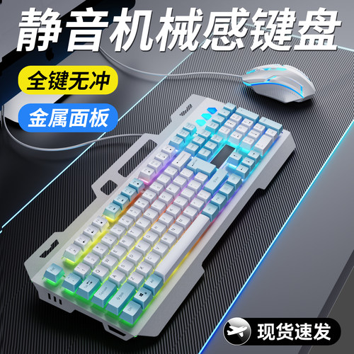 【政府补贴】静音机械感键鼠套装
