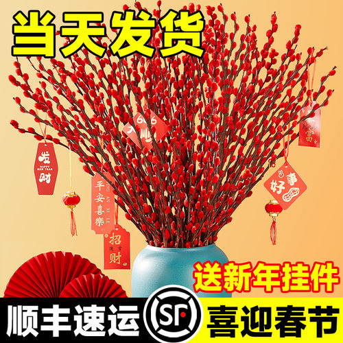 银柳真花鲜枝室内喜庆年宵花卉