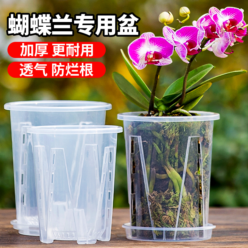 透明透气简约树脂兰花花盆
