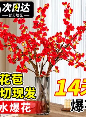 红梅干枝水培雪柳鲜枝桃花支带花苞当季鲜切腊梅珍珠李室内水养花
