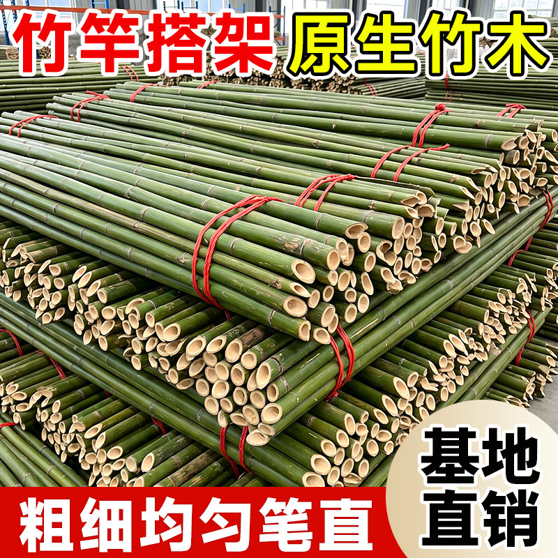 竹竿菜园搭架蔬菜黄瓜番茄豆角架图片