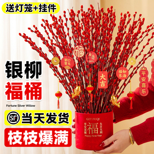 银柳真花鲜枝抱抱桶花桶福桶客厅摆件干花年宵花乔迁新居新年花卉