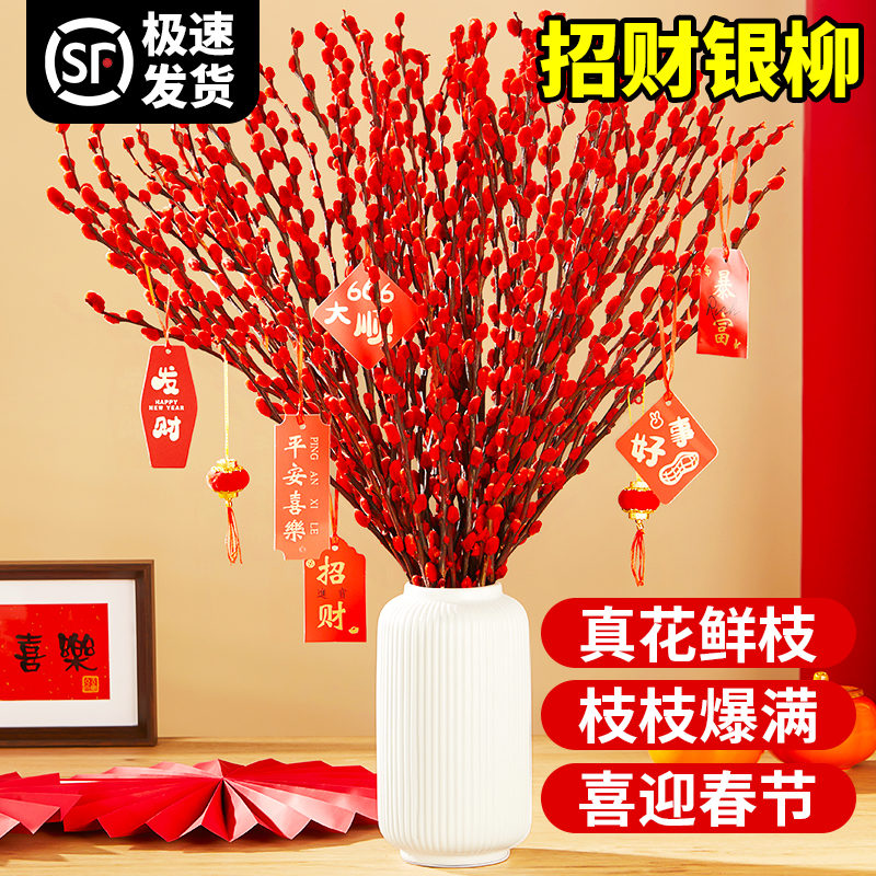 银柳真花鲜枝室内喜庆年宵花卉