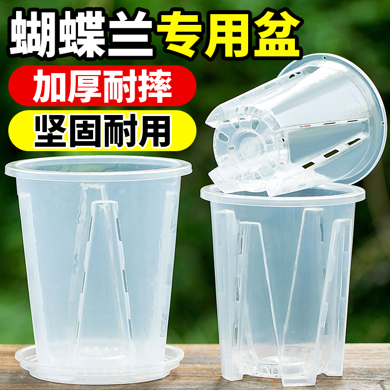 蝴蝶兰花盆简约透明塑料透气控根