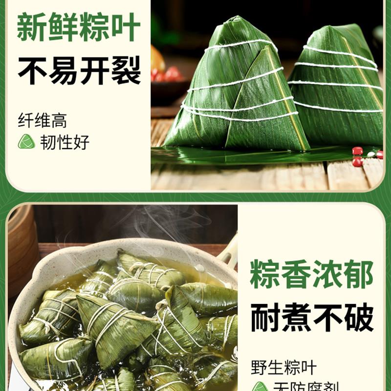 粽叶新鲜粽子叶大号包粽子专用现摘特大芦苇包粽叶子真空专用粽绳