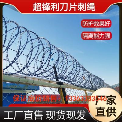 刀片刺绳铁丝网不锈钢防爬刺网