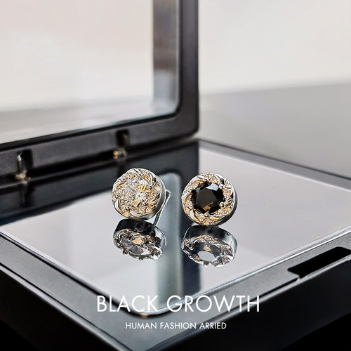 纯银气质高级感独特耳钉