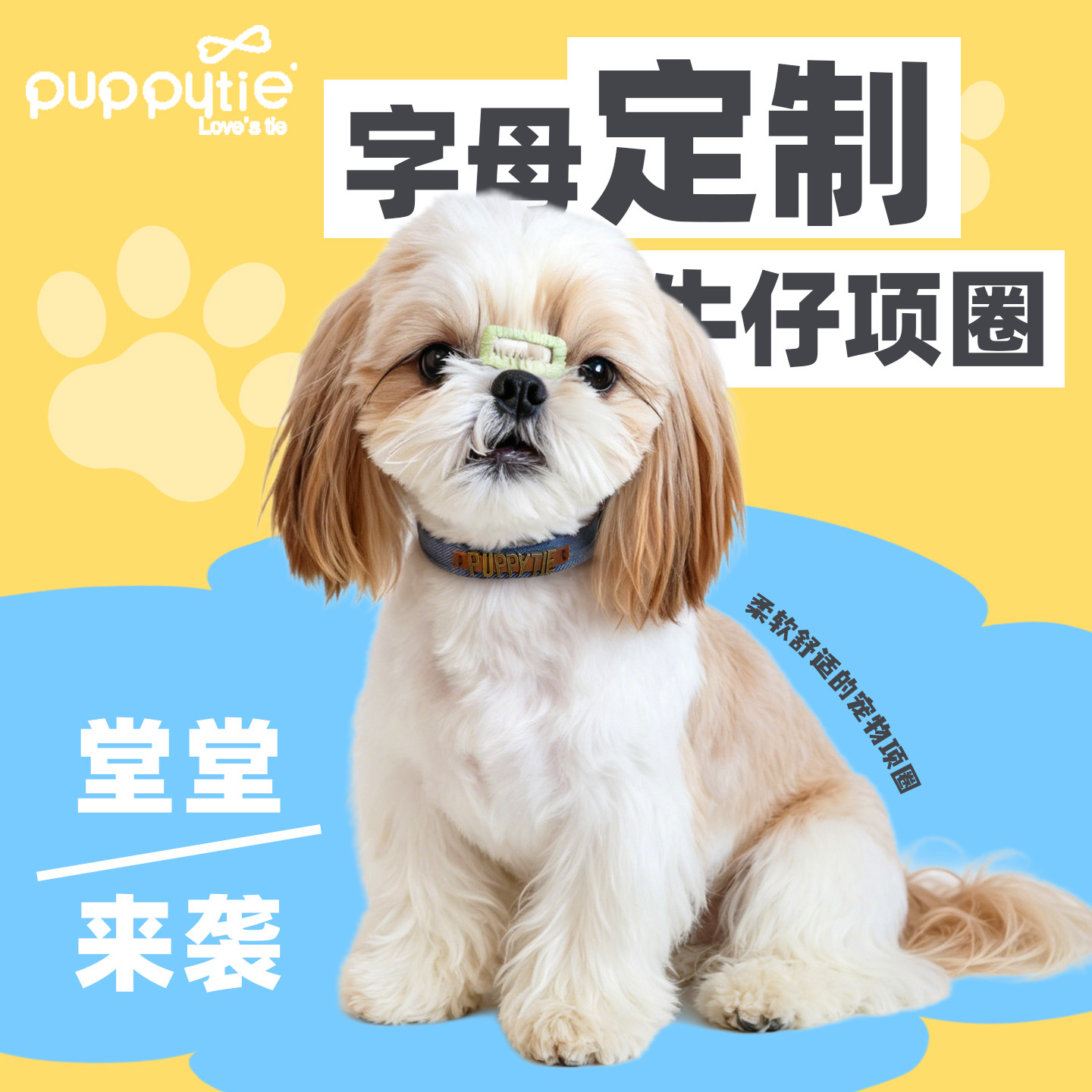 Puppytie狗狗项圈定制脖圈小型犬外出颈圈比熊泰迪宠物项圈牵引绳