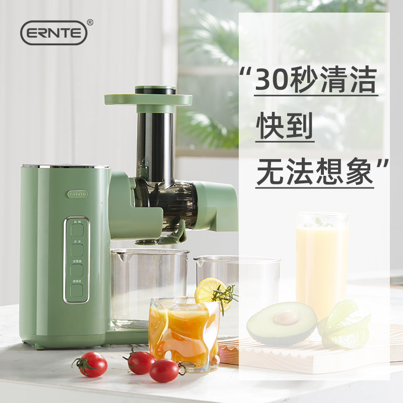 昂特华德ERNTE原汁机榨汁机小型便携汁渣分离家用炸汁水果多功能