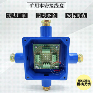本安接线盒JHH-3矿用防爆分线盒JHH-2 电路用JHH-4线路板式煤矿用