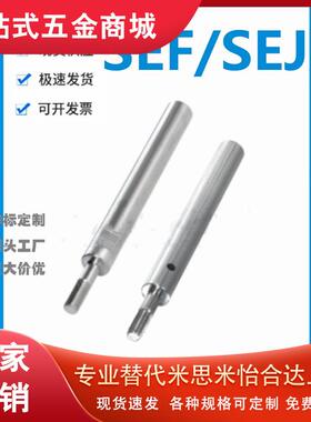 怡和达型SEF/SEJ01/02/06/07/31/32/36/37-6/8/10/12/13/15导向轴