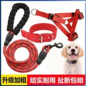 中型遛狗大型狗狗牵引绳狗绳子2米3米加长泰迪金毛宠物小型犬狗链