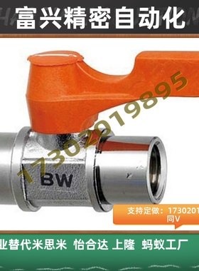 BBFF11F BBFF12F BBFF21F -B W Y BL小型球阀专业替换 米思米