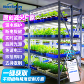 茉钡特生物植物光照培养架组培架实验室育苗盆景盆栽T8LED灯架子