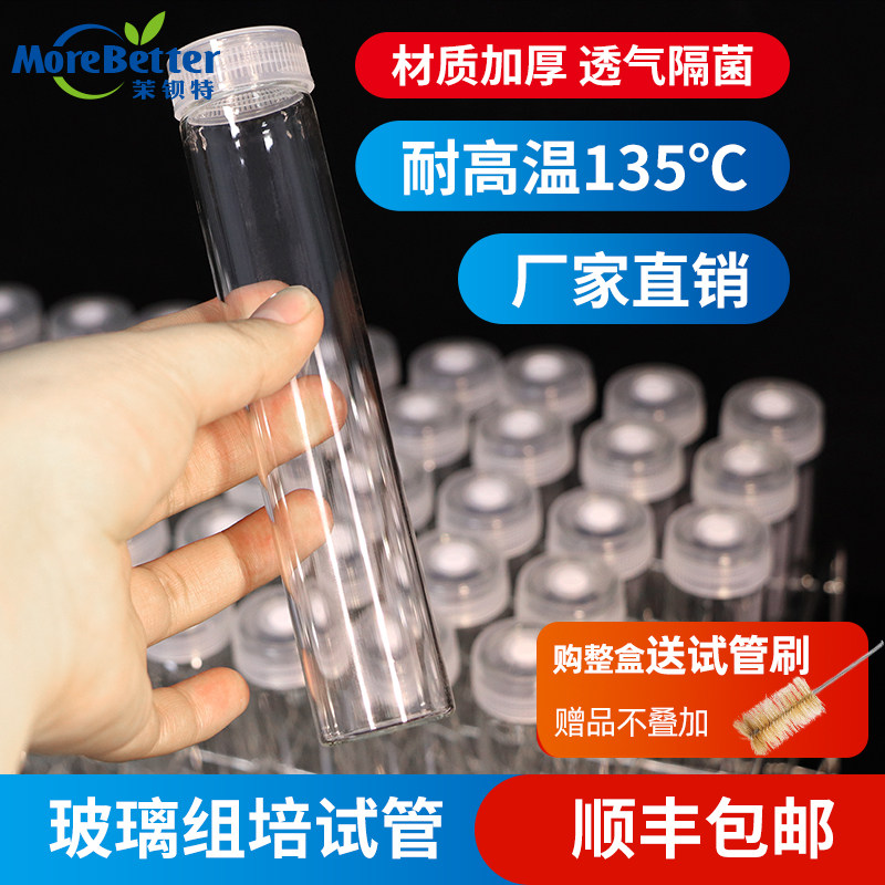 茉钡特高硼硅玻璃组培平底试管耐高温培养瓶带透气盖办公实验耗材