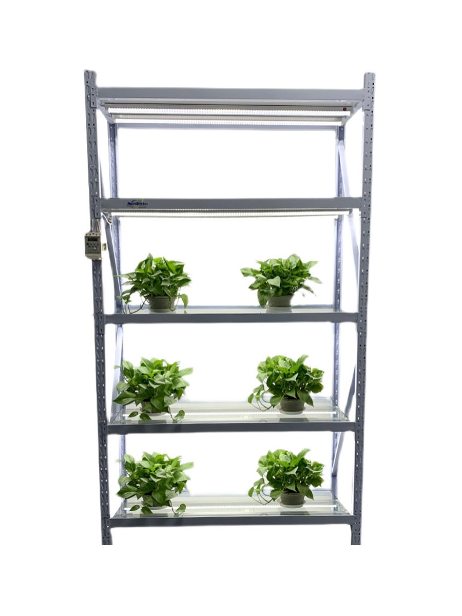钢化玻璃植物光照培养架 实验室组培架 育苗盆景架子带灯带控制i.
