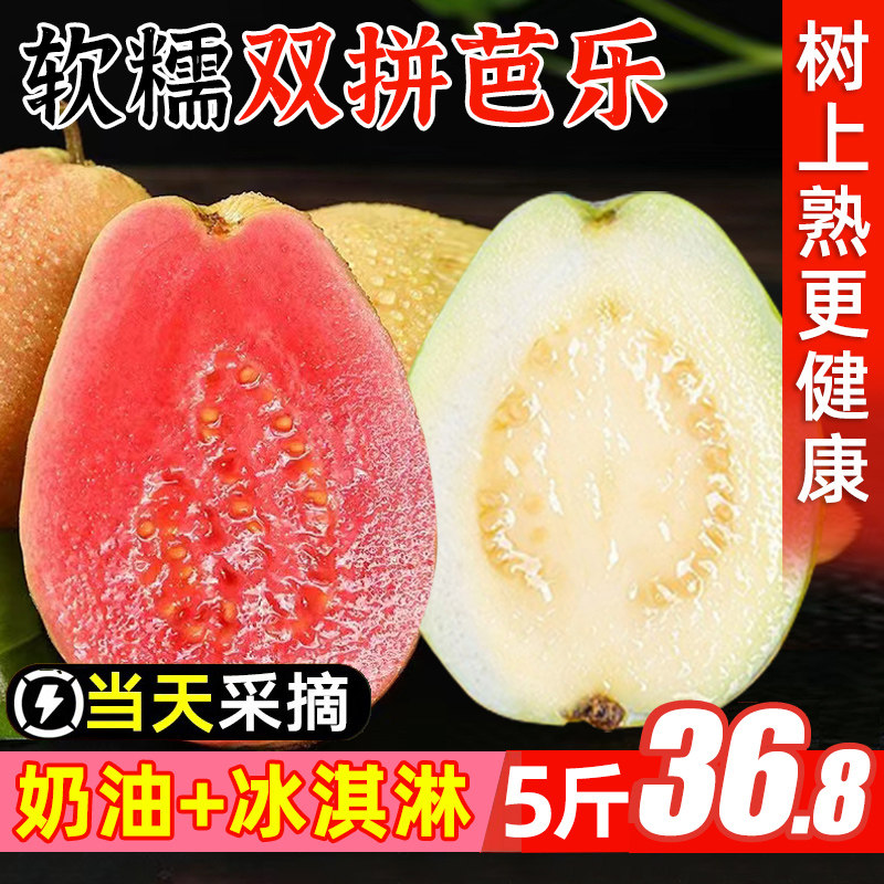 【顺丰到家】红白心芭乐水果新鲜包邮低糖软糯胭脂红番石榴巴乐果
