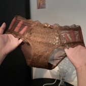 高颜值性感勾人蕾丝内裤 女款 2026新款 「HS」柔棕勾情 女士三角裤