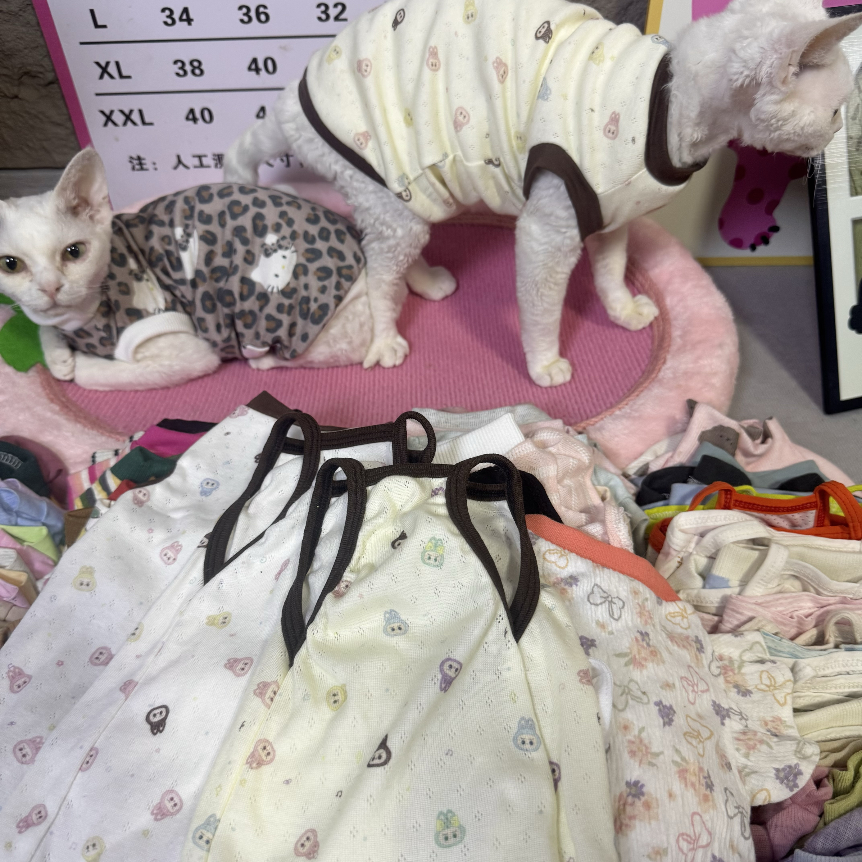 德文猫衣服夏季棉labubu可爱透气网眼凉爽吊带背心矮脚无毛猫衣服