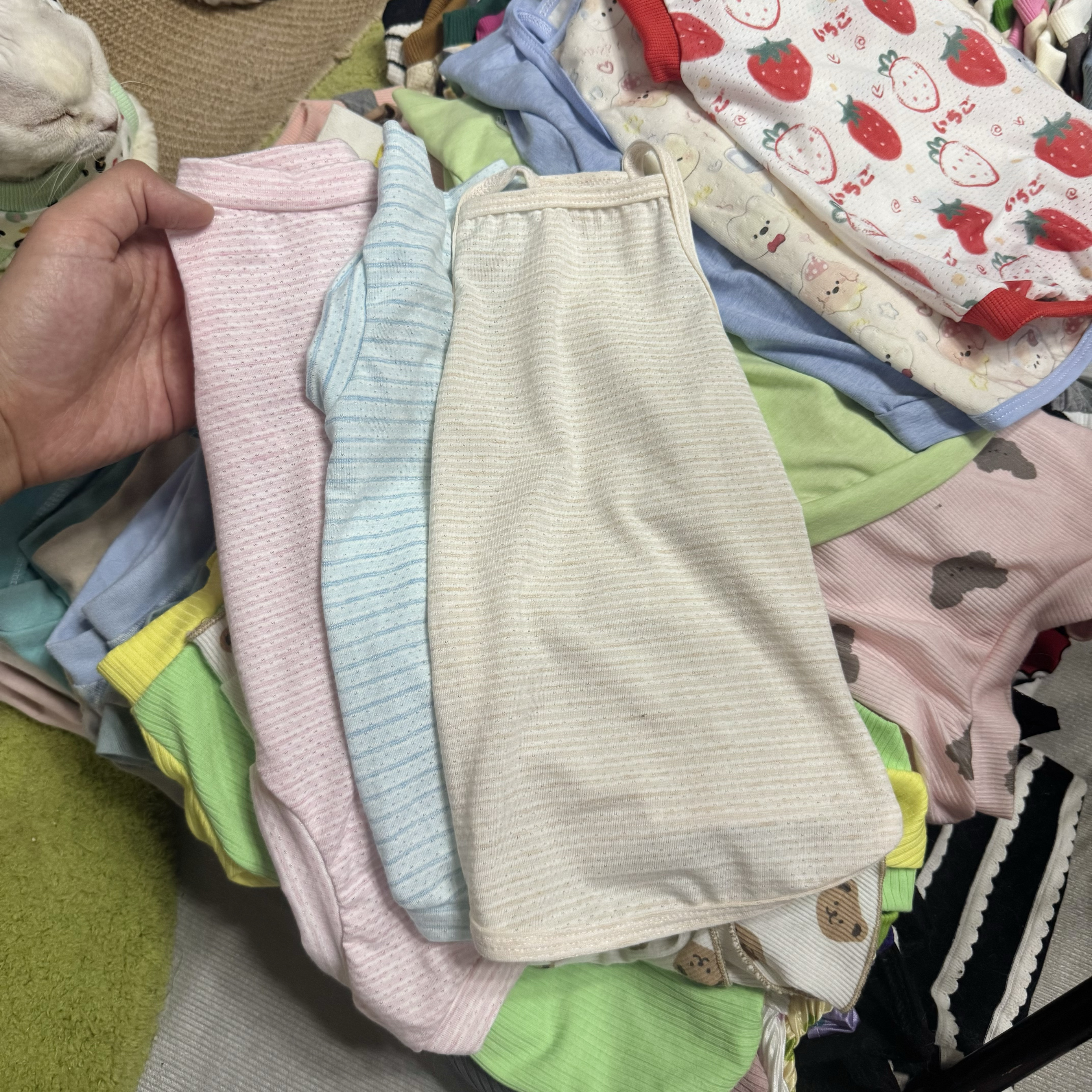 无毛猫衣服夏季薄弹力莫代尔透气柔软弹力吊带矮脚背心德文猫衣服