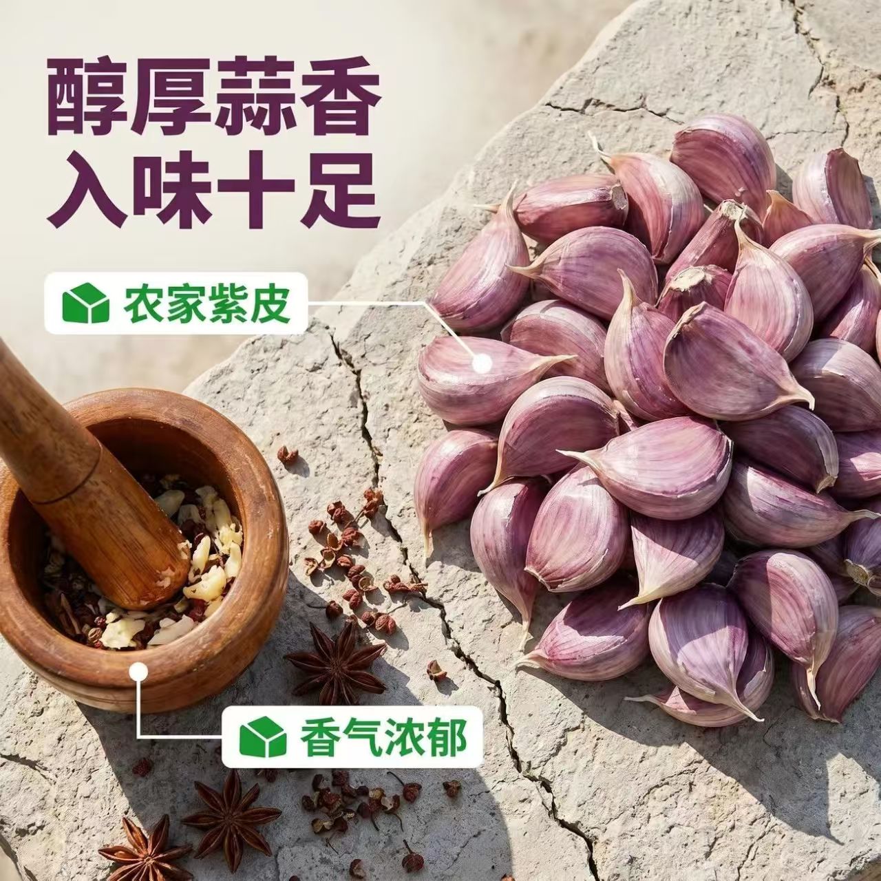 山东紫皮蒜瓣粒种子可吃可做种红硬叶出蒜苔红皮蒜剥基地直发紫皮
