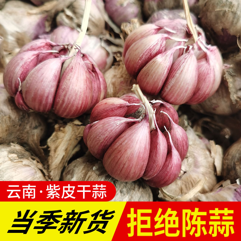 25年云南紫皮大蒜头红皮