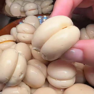 闽北特色小吃蛋菇鸡蛋肠开袋即食及佐料配菜烧烤烫火锅凉拌炸整箱