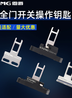 恩爵 安全门开关钥匙插销D4DS-K1 K2 K3 K5角度可调SUS304 ESDS