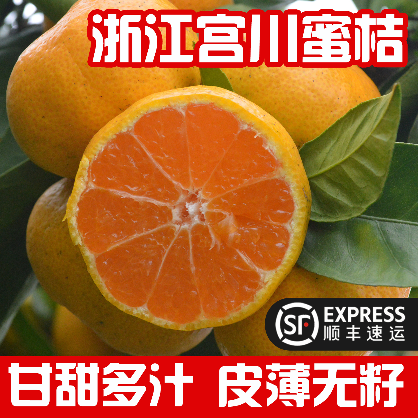 浙江宁海无核宫川蜜橘5斤顺丰