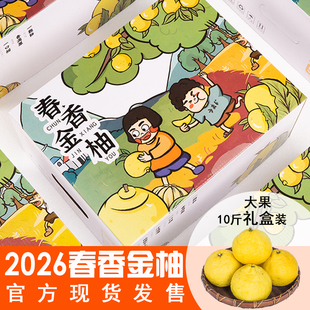 正品春香金柚大果礼盒装官方旗舰店象山青黄金贡柚甜桔柚水果整箱